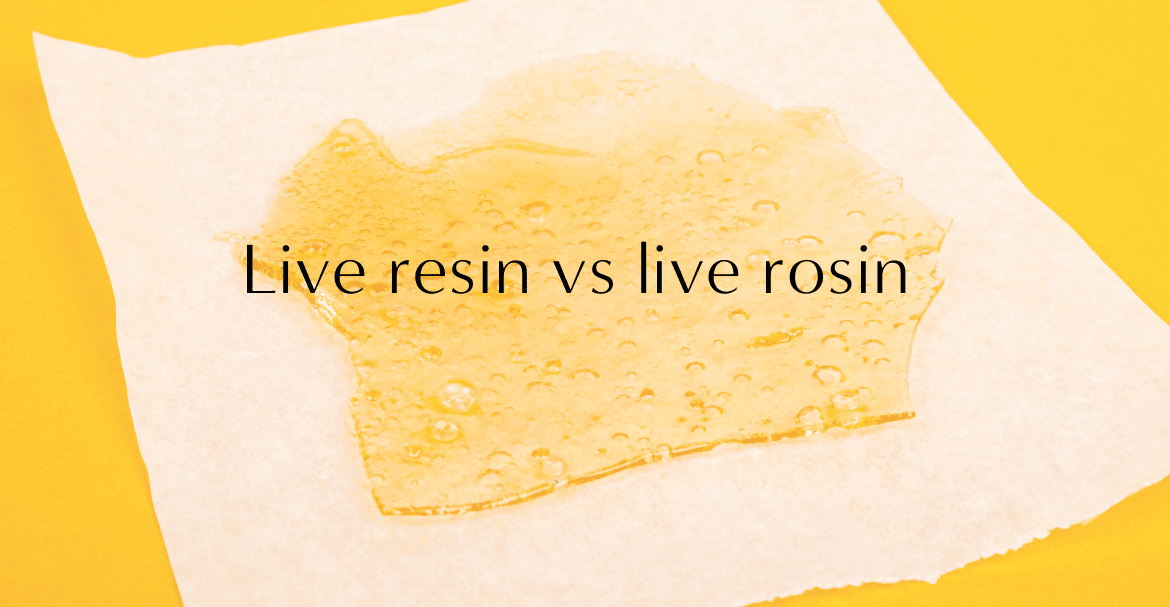Qu'est-ce que le Live Resin CBD ? Image