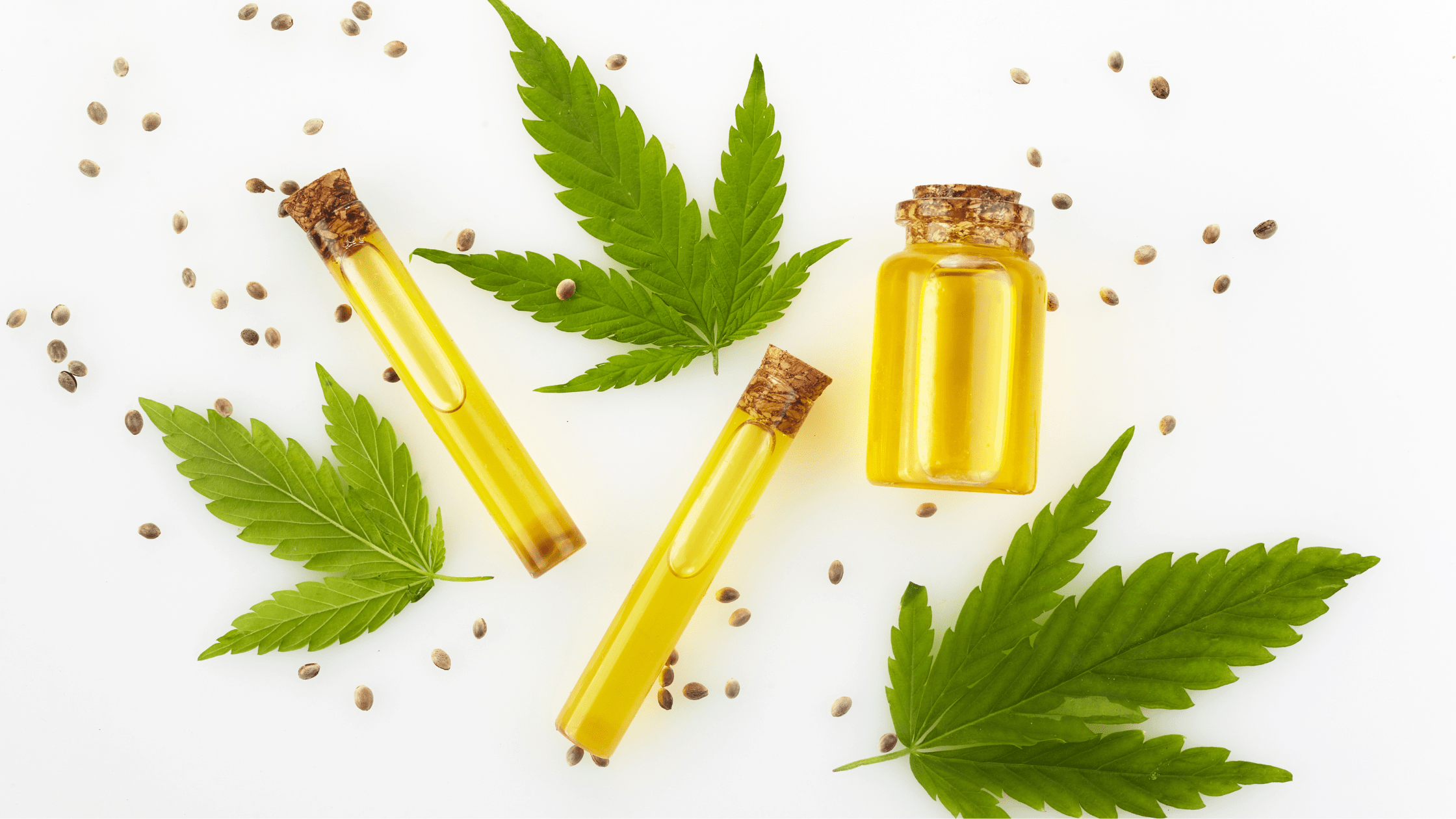 Quelle est la différence entre le CBD et le CBN ? Image