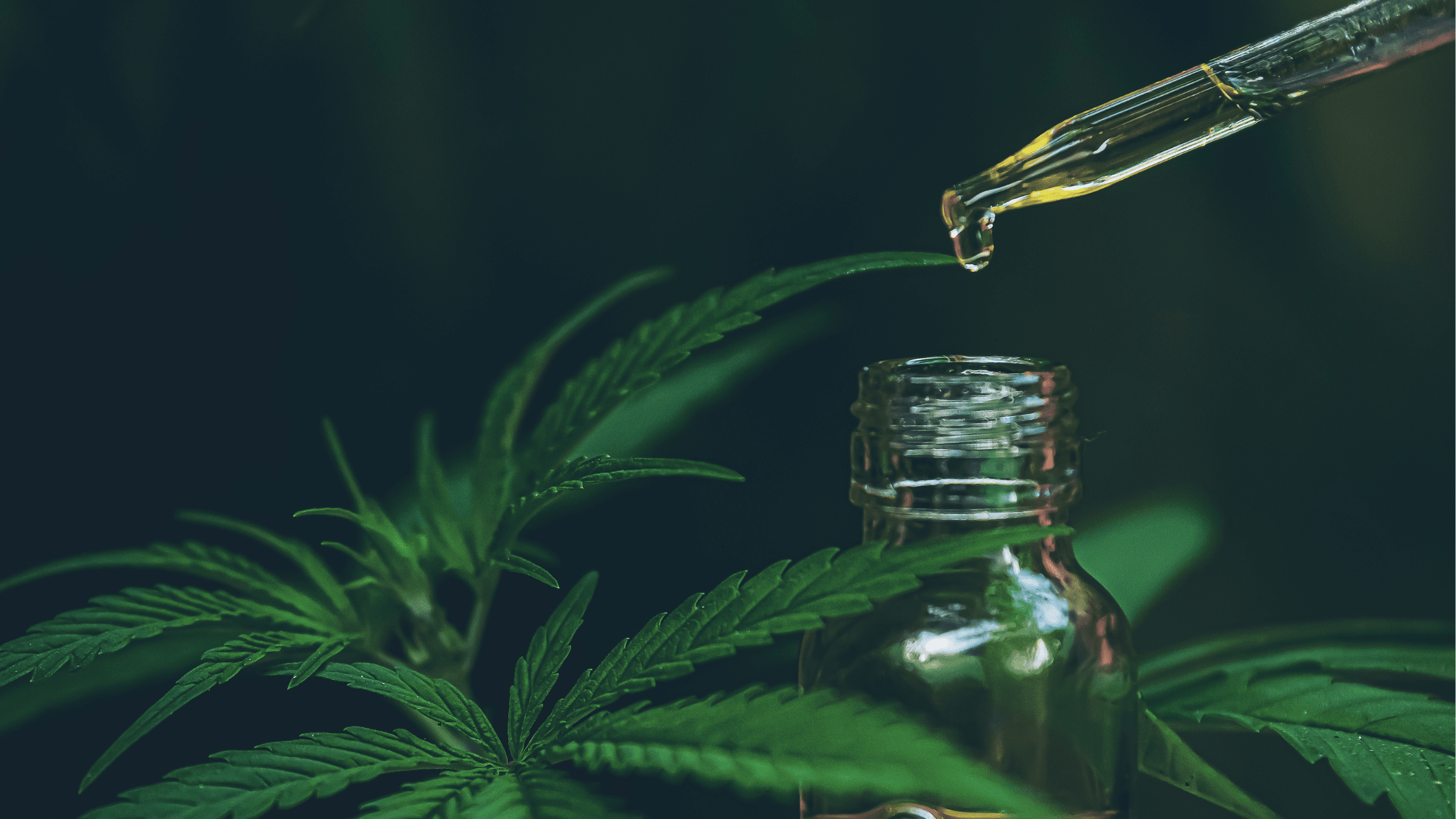 Quels sont les effets du CBD sur le stress ?
