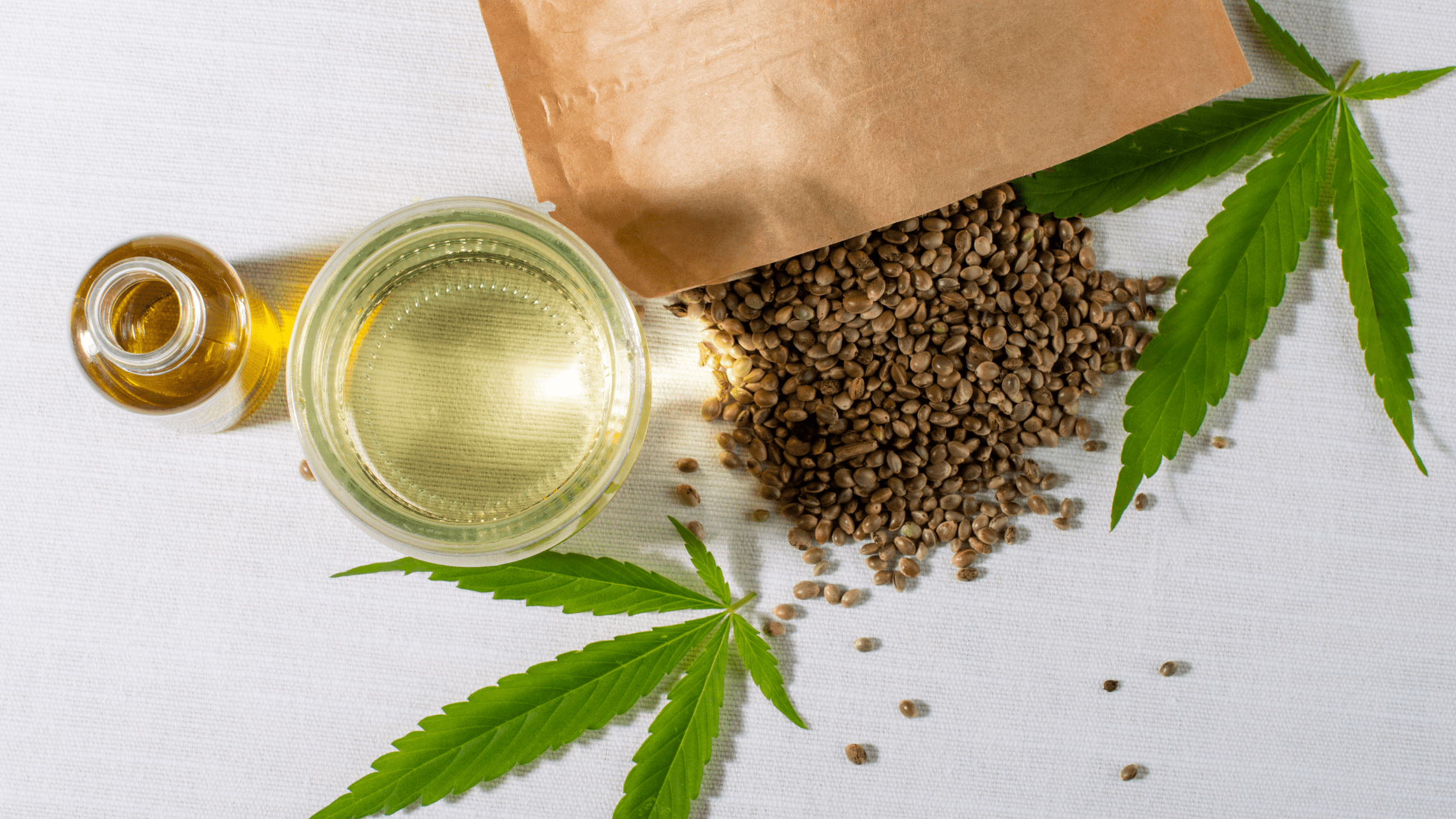 Qu’est-ce que les graines CBD et à quoi servent-elles ?