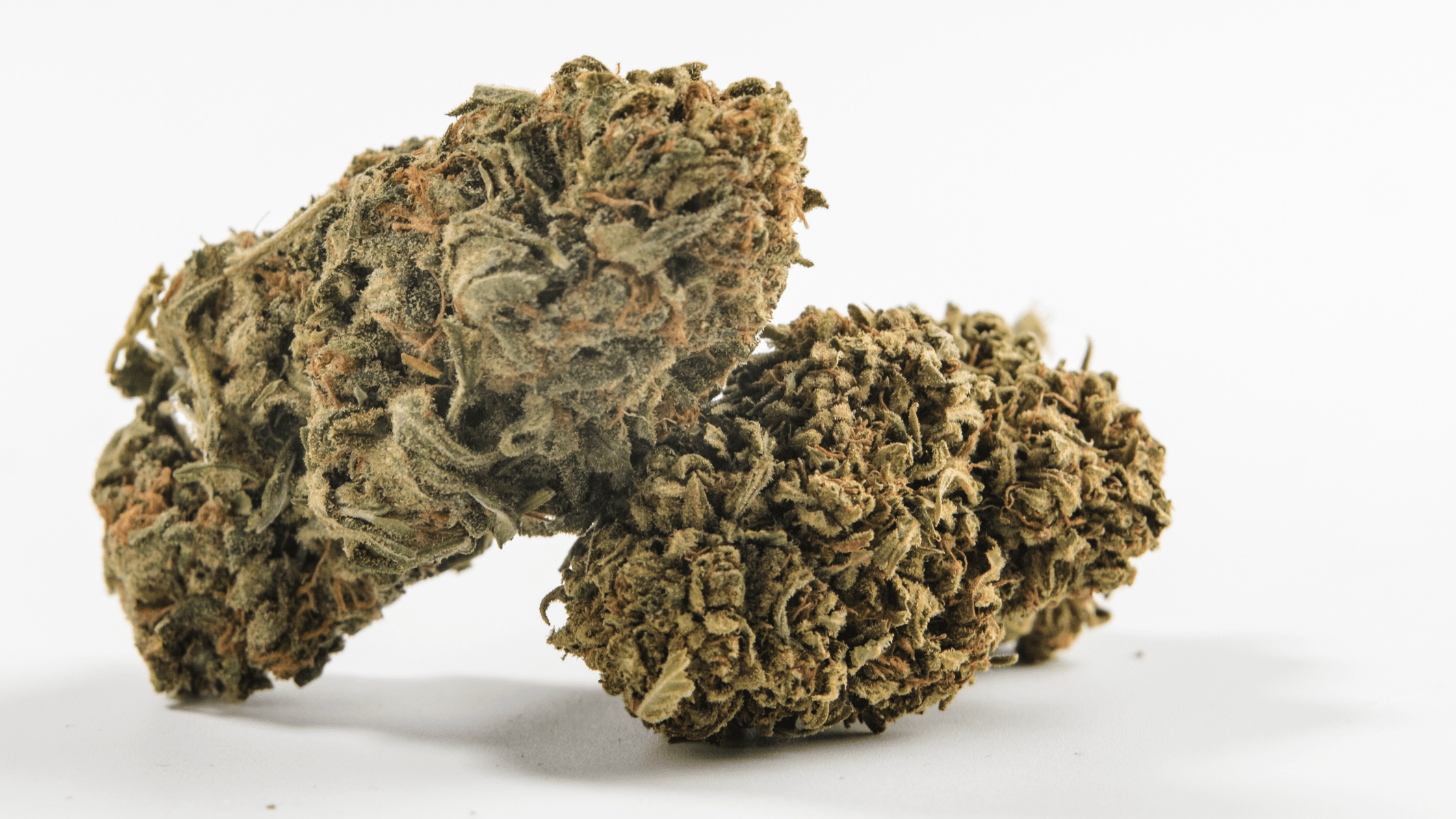 Qu’est-ce qu’une fleur CBD puissante ? Image