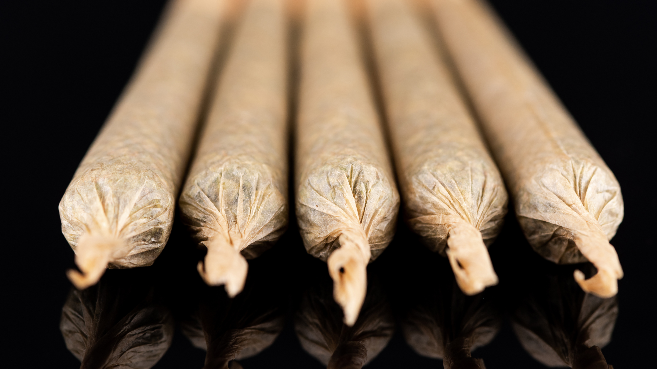 Résines CBD 0% THC : sélection et informations légales 