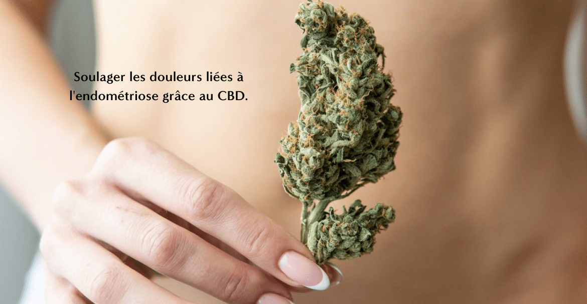 Soulager les douleurs liées à l'endométriose grâce au CBD.