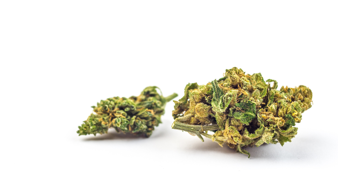 THCH et THCJD, les nouvelles molécules du cannabis qui émergent