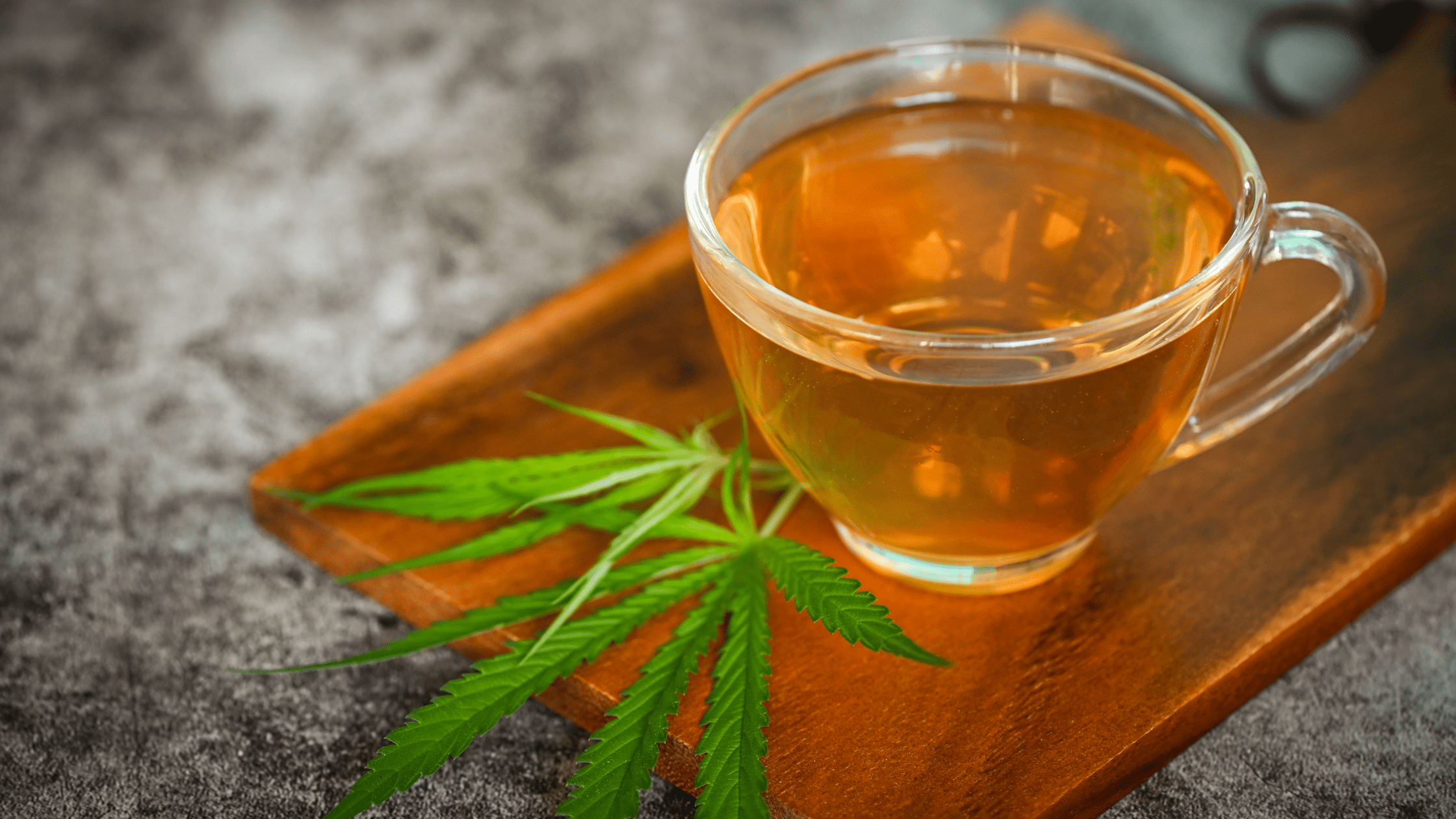 Thé et infusions au chanvre : Tout ce que vous devez savoir
