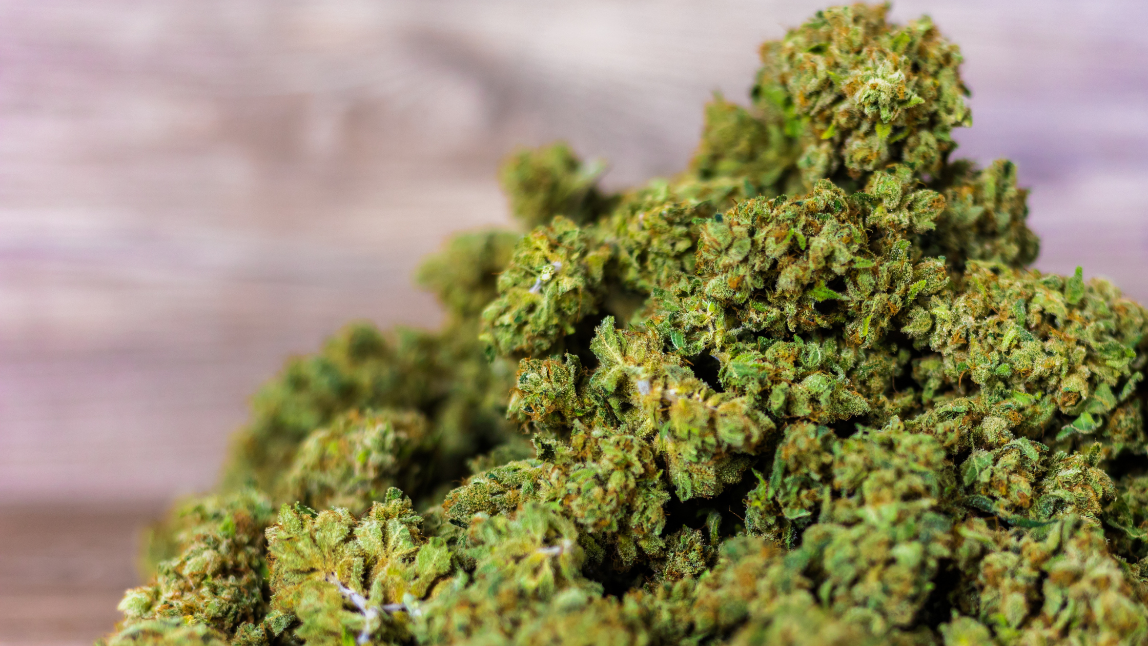 Top 5 fleurs CBD 2026 : comparatif des meilleures variétés premium chez Deli Hemp