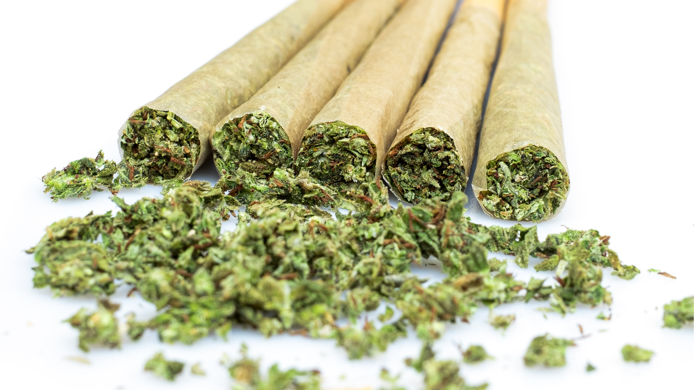 Trim CBD pas cher : vrai bon plan ou fausse économie en 2026 ? Image