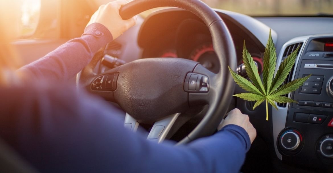 Tu peux enfin passer ton diplôme pour le cannabis médical! Image