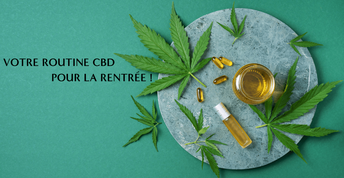 Votre routine CBD pour la rentrée !