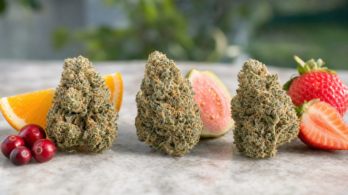 Trois fleurs de CBD hydroculture côte à côte avec orange, goyave et fraises évoquant leurs arômes Image