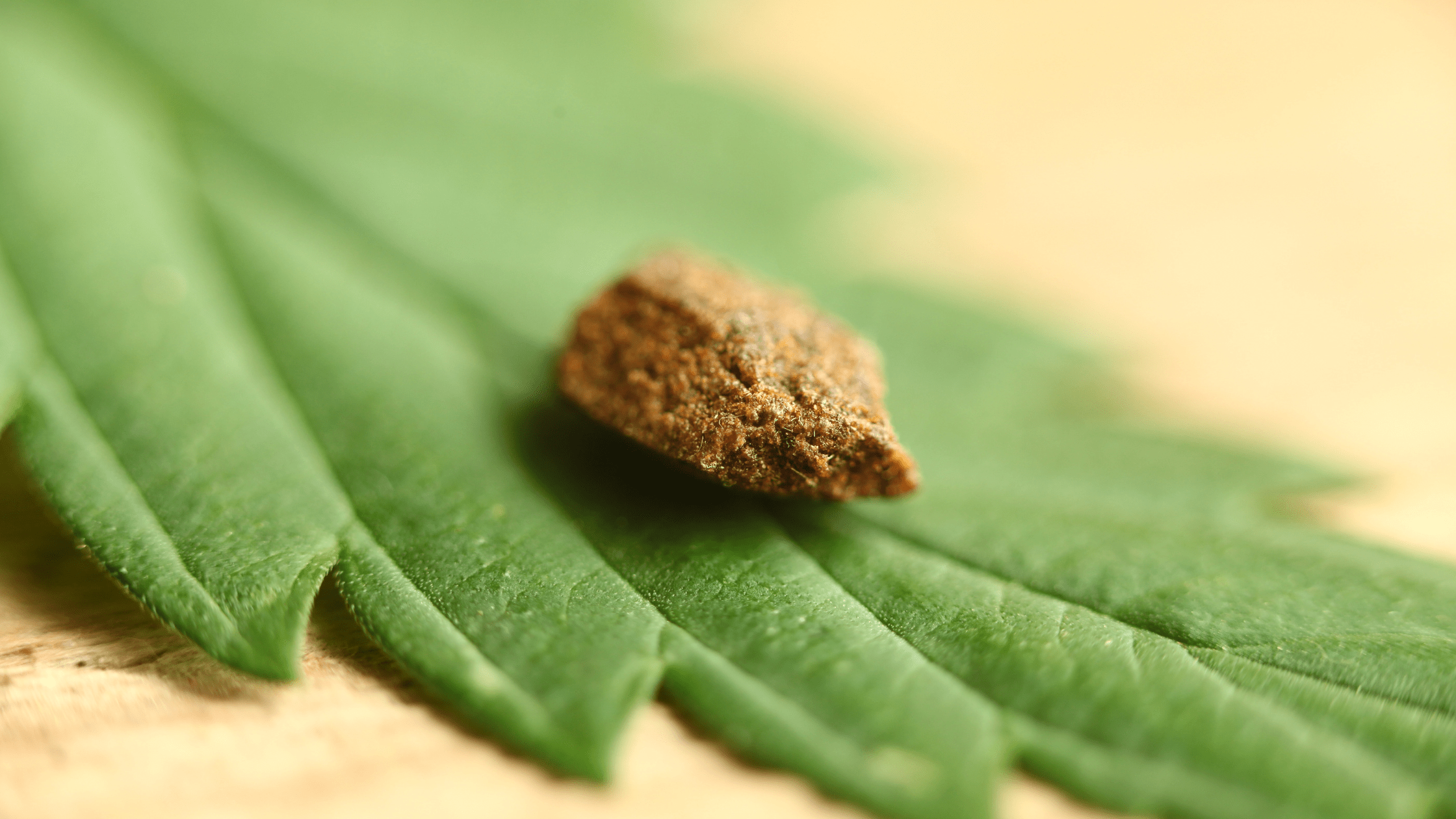 Zoom sur les résines CBD : Olive, Libanais, Afghan… quelles textures choisir ?