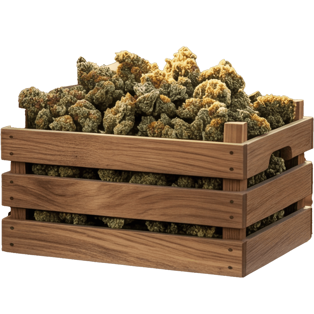 100g fleur CBD offerts