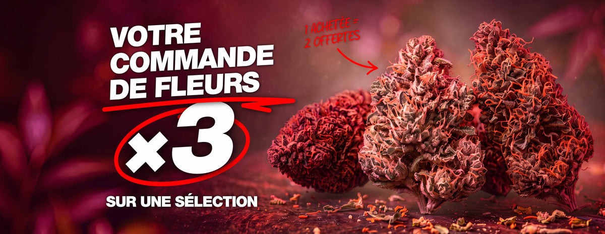 Bannière