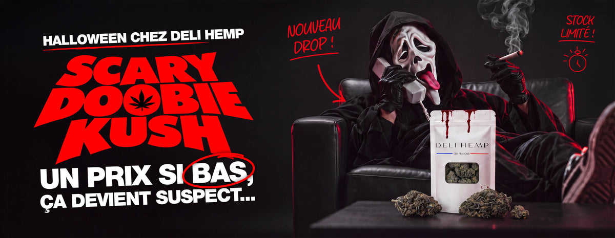 Bannière