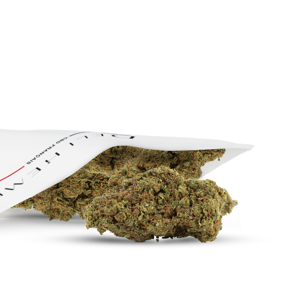 FLEURS CBD - BUBBLE GUM - HYDROCULTURE