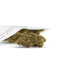 FLEURS CBD - BUBBLE GUM - HYDROCULTURE