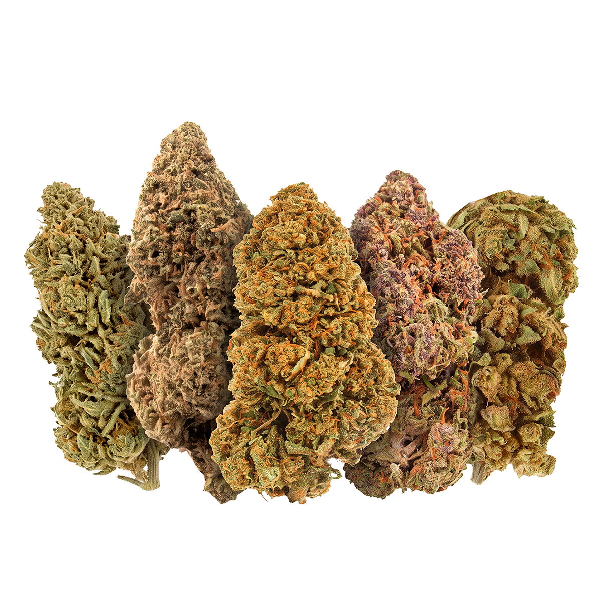 PACK DÉCOUVERTE FLEURS