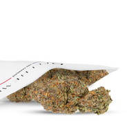 FLEURS CBD - ZANGRIA - HYDROCULTURE