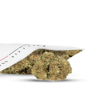 FLEURS CBD - MELONADE - HYDROCULTURE