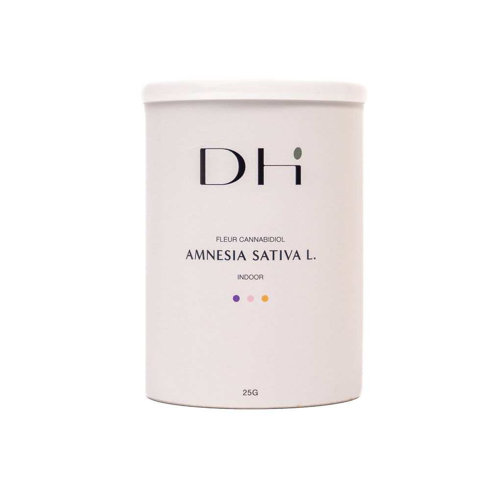 BOX AMNESIA SATIVA L. (2)