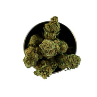 Box Bruce Banner Sativa L.
