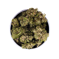 Box Critical CBG