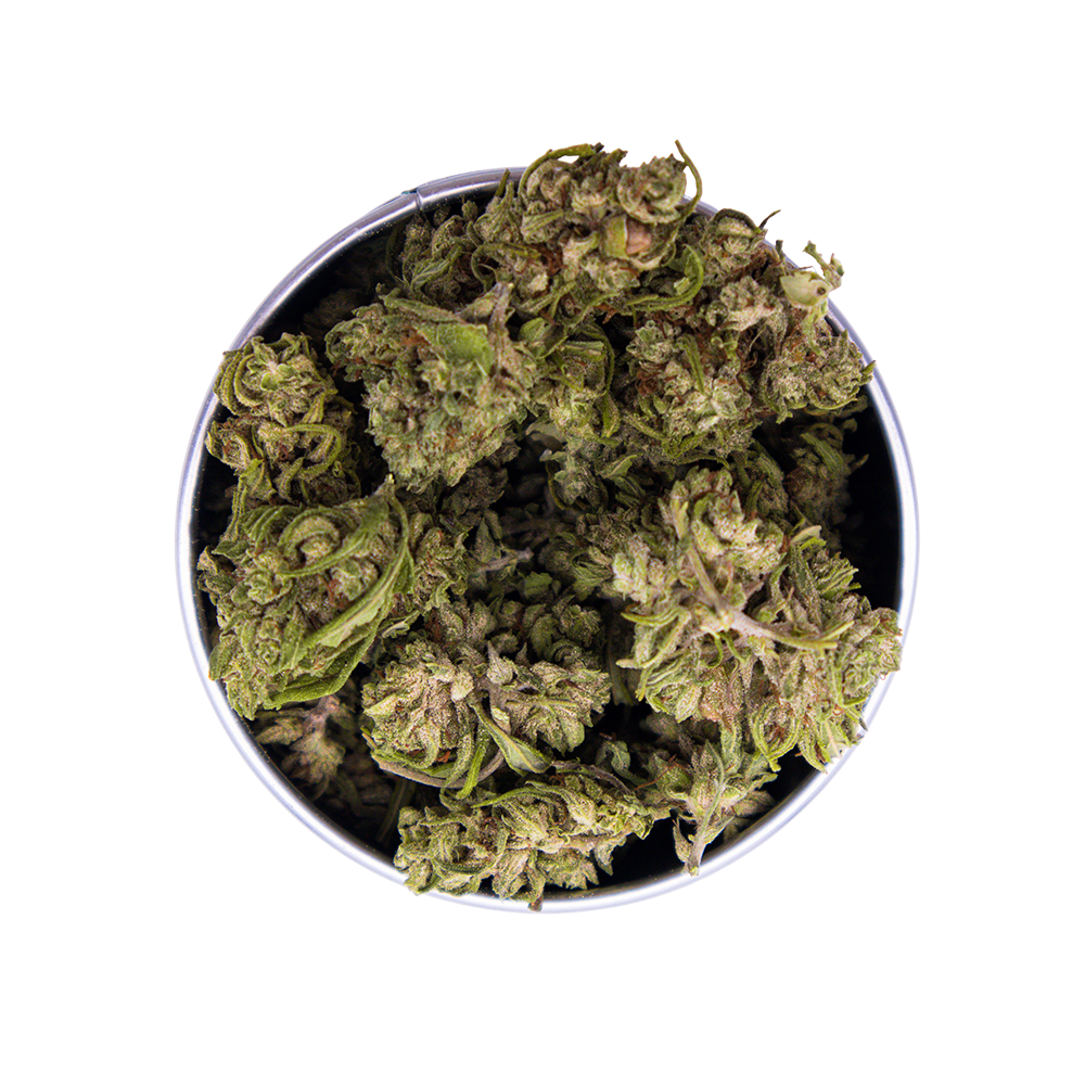 Box Critical CBG
