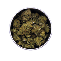 Box Gorilla Glue
