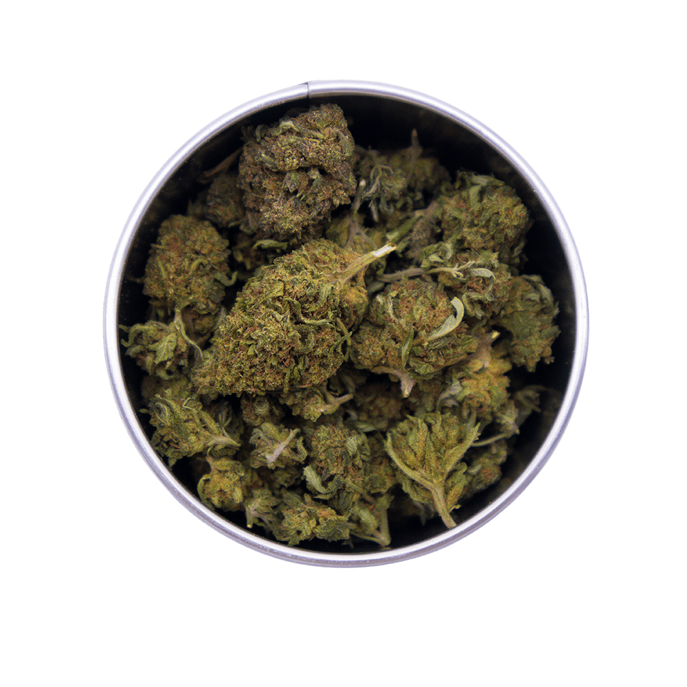Box Gorilla Glue
