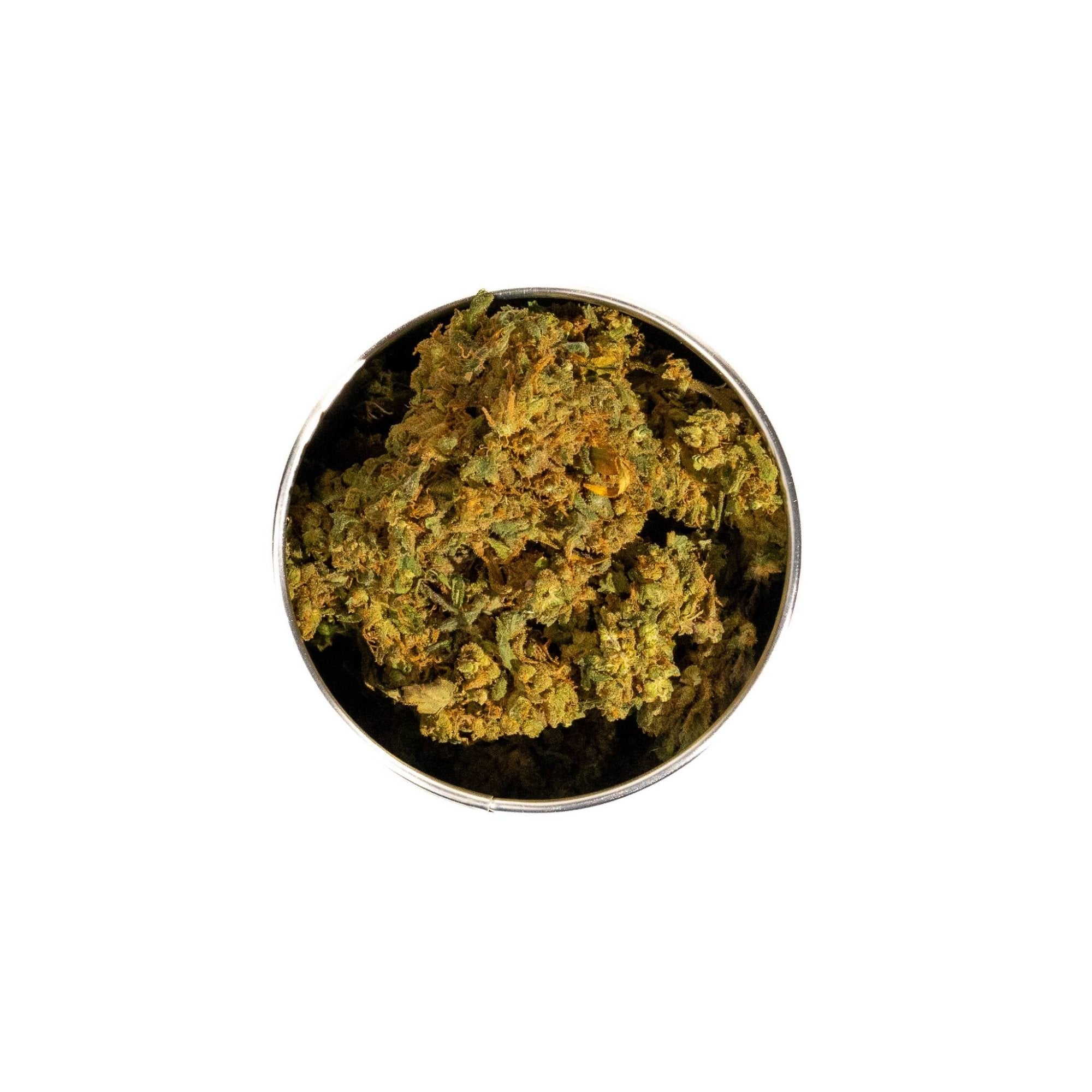 BOX HINDU KUSH