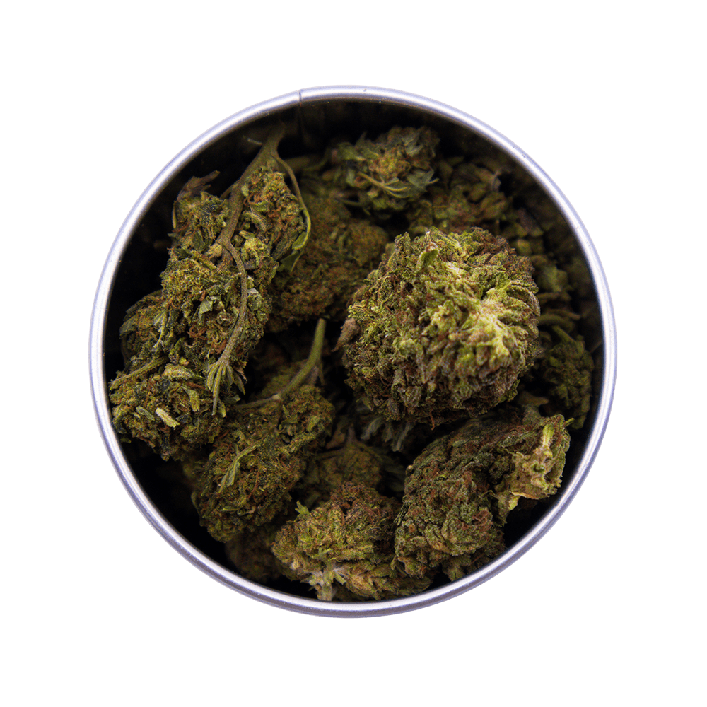 Box Jamaican