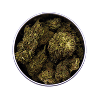 Box Jamaican