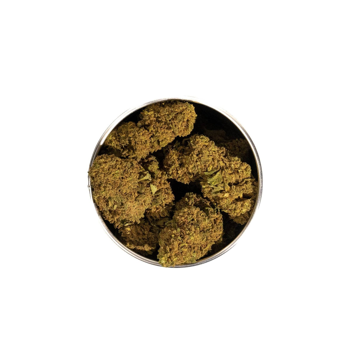 Box Moby Dick Sativa L.