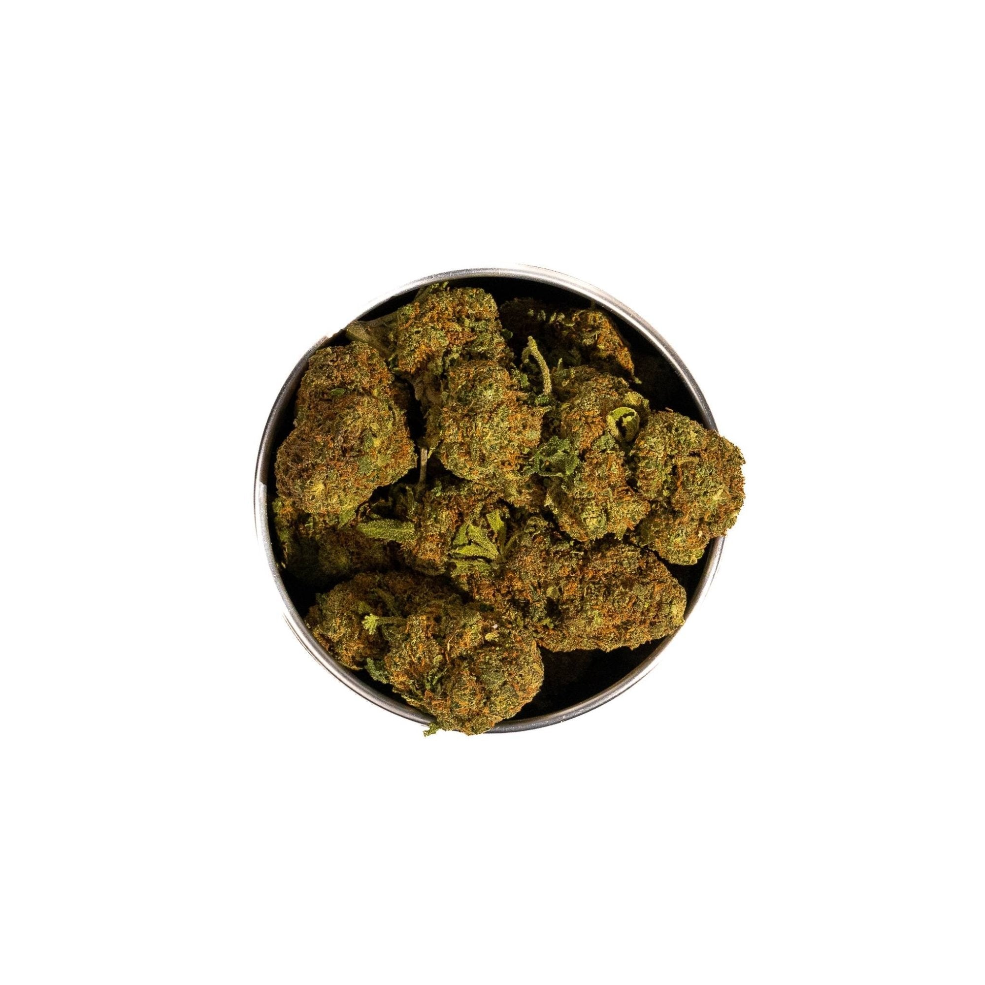 BOX ORANGE SORBET