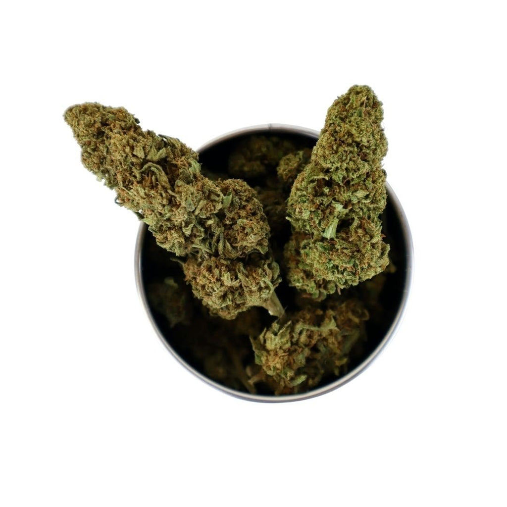 Box Sherbet CBG