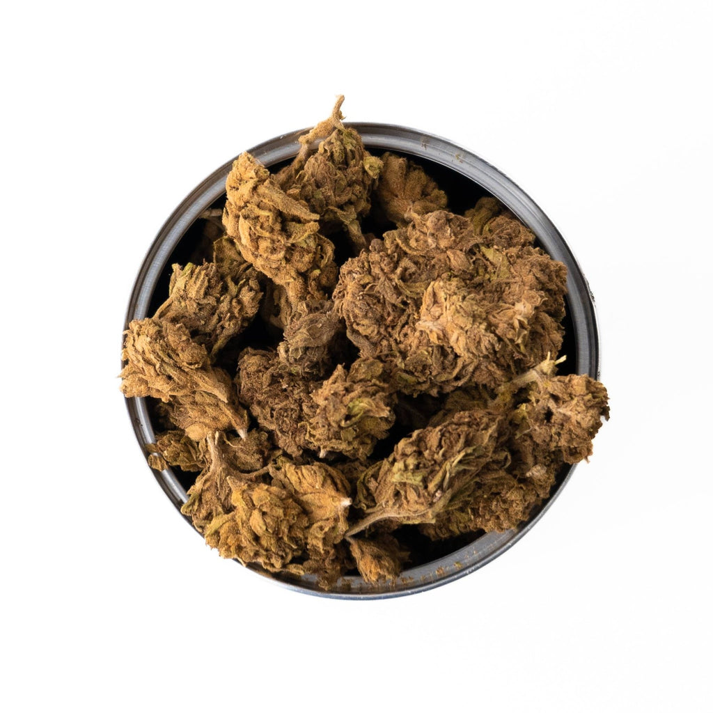 Box Tangie Sativa L.