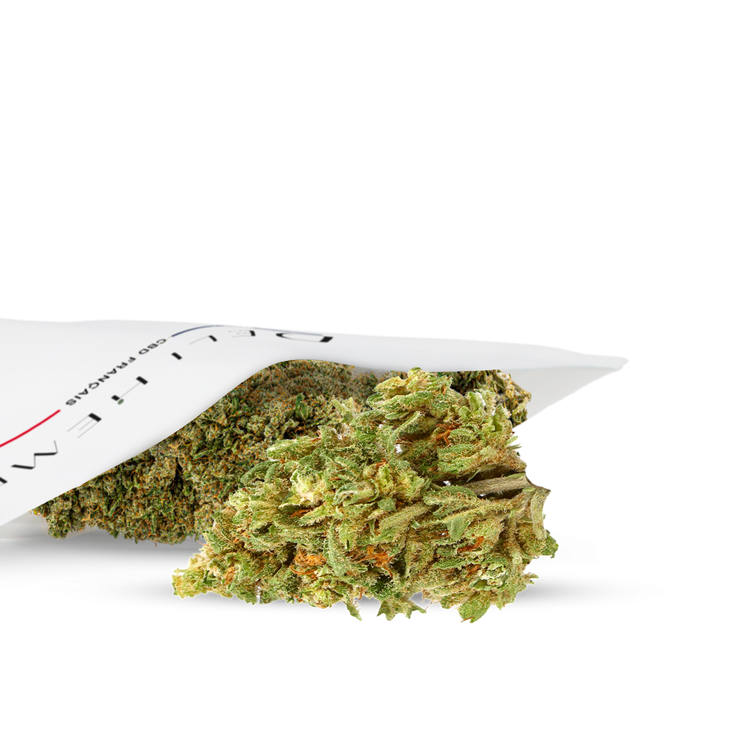 BUBBA KUSH