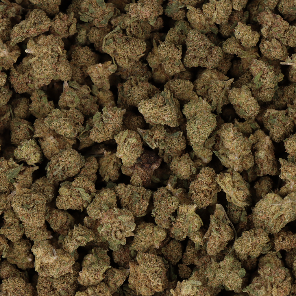 FLEURS CBD - SMALL BUD CRITICAL KUSH