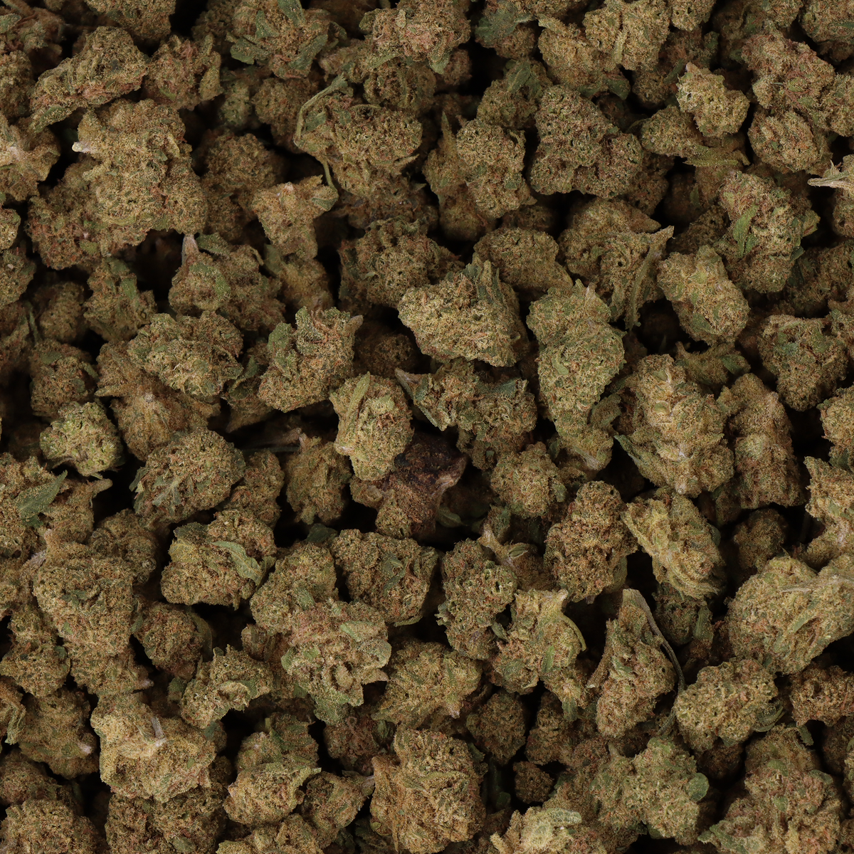 FLEURS CBD - SMALL BUD CRITICAL KUSH