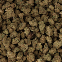 FLEURS CBD - SMALL BUD CRITICAL KUSH
