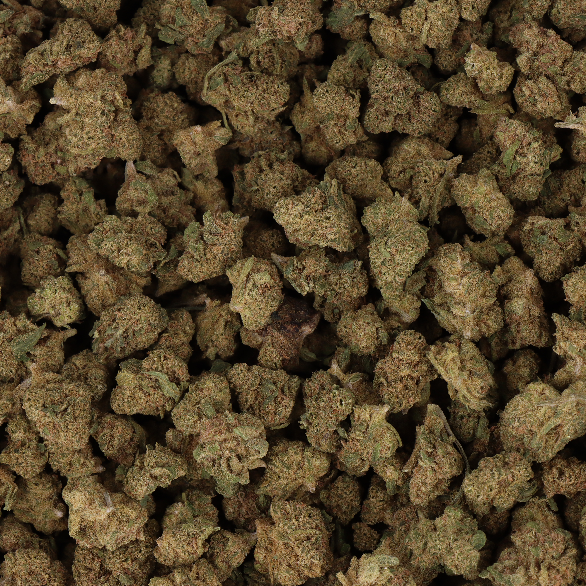 FLEURS CBD - SMALL BUD CRITICAL KUSH