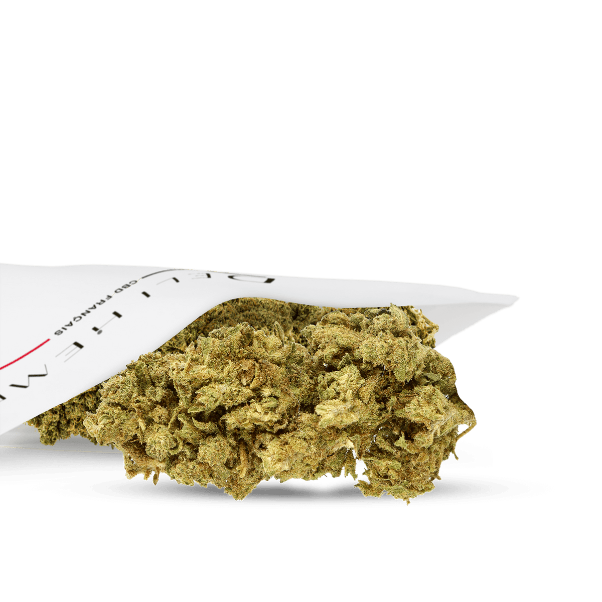 ZOOM SUR FLEUR CBD