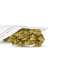 ZOOM SUR FLEUR CBD