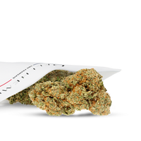FLEUR CBD  - RUNTZ - HYDROCULTURE