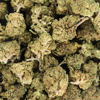 SMALL BUD 2025 BUBBLE GUM