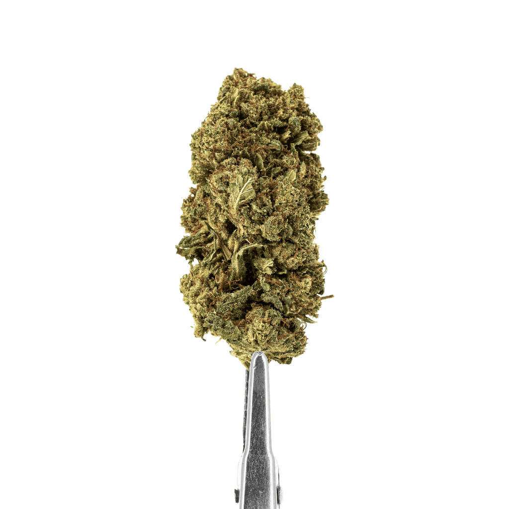 CBD Skunk