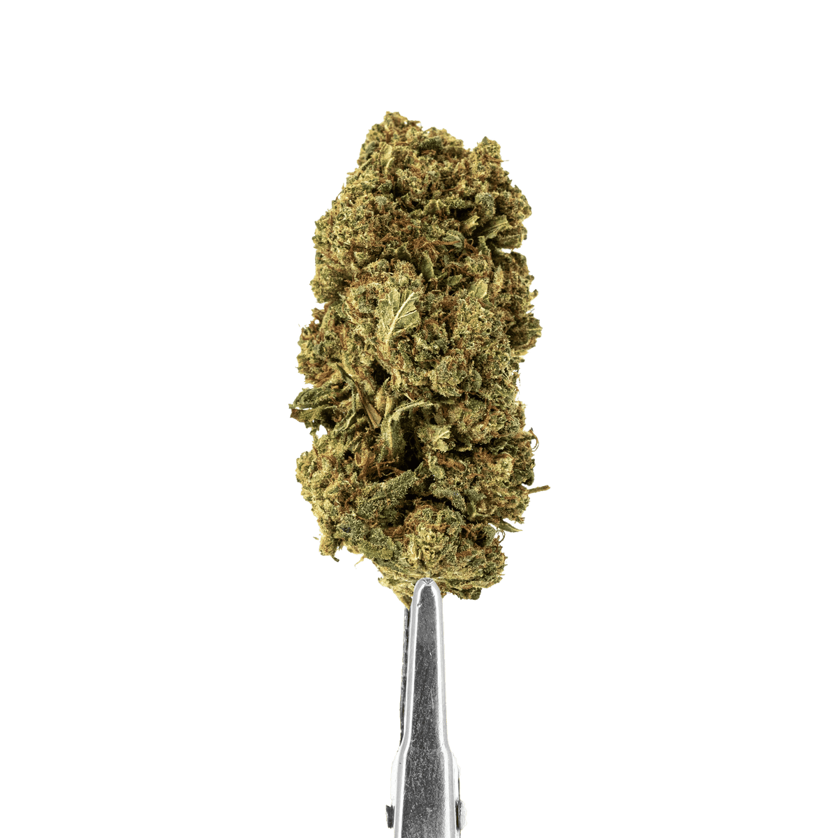CBD Skunk