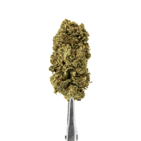 CBD Skunk