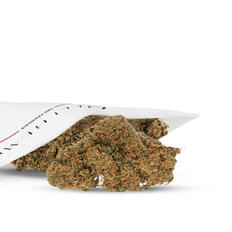 fleurs cbd ak47 - exterieures