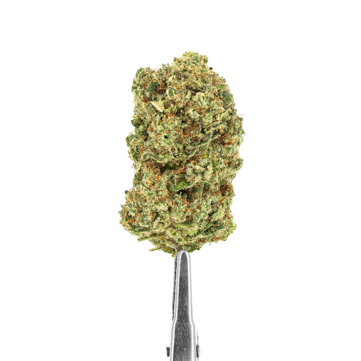 fleur hydroponie - alien fruit